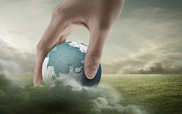 新昌乐天使进出口有限公司